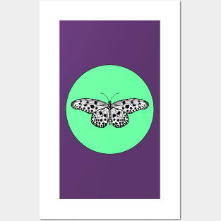 Malayan Tree Nymph Posters and Art